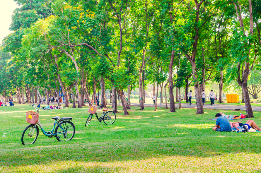 Bicycles on Green Grass in the Park